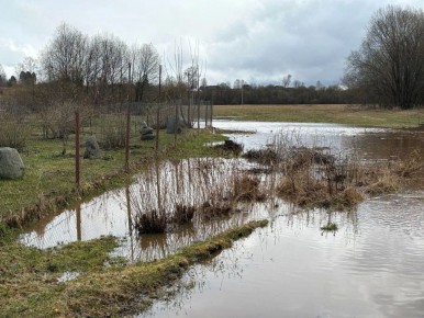 ������� ���� � ���� ����� � �������� ������ ����� ����������� ��-�� �������� �������