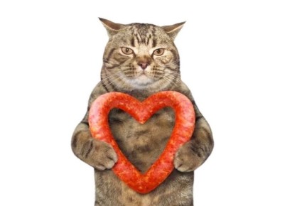 ��������: ���������� ������ ���������, ������� ������ ����� ������