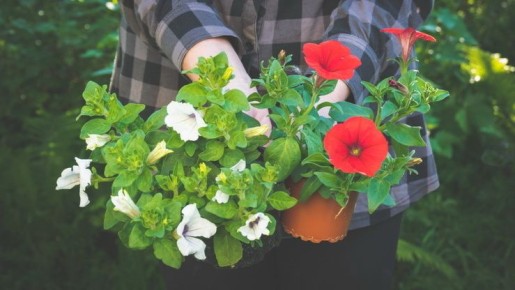 ��� ��������� ������� � ���: ������ ������ ������� � ������ ������� ���������