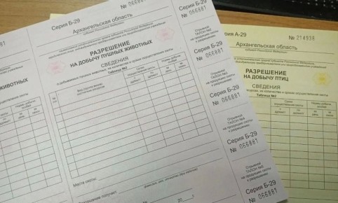 �������� ����� � ������� �������� 1 ���