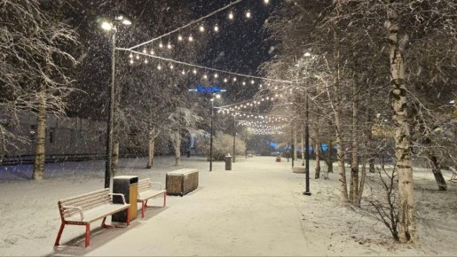 ������ �� ����� ��������� ���������� ��������� ��� ���������� ��������