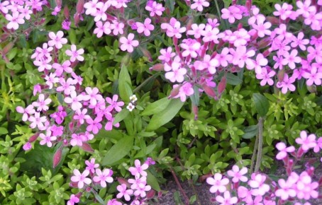 ���������: ��������� ������� ��� ������ ����