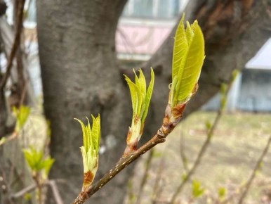 ������ ����, ������! ������� 30 ������, �������