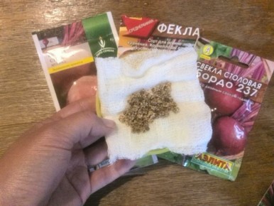 ��� �������� ������ ������: ���� ������ �������� ��� �������� �����