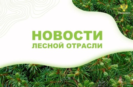StolicaMedia: ������������ ����������� �������� � ������ �������������� ������� � �������