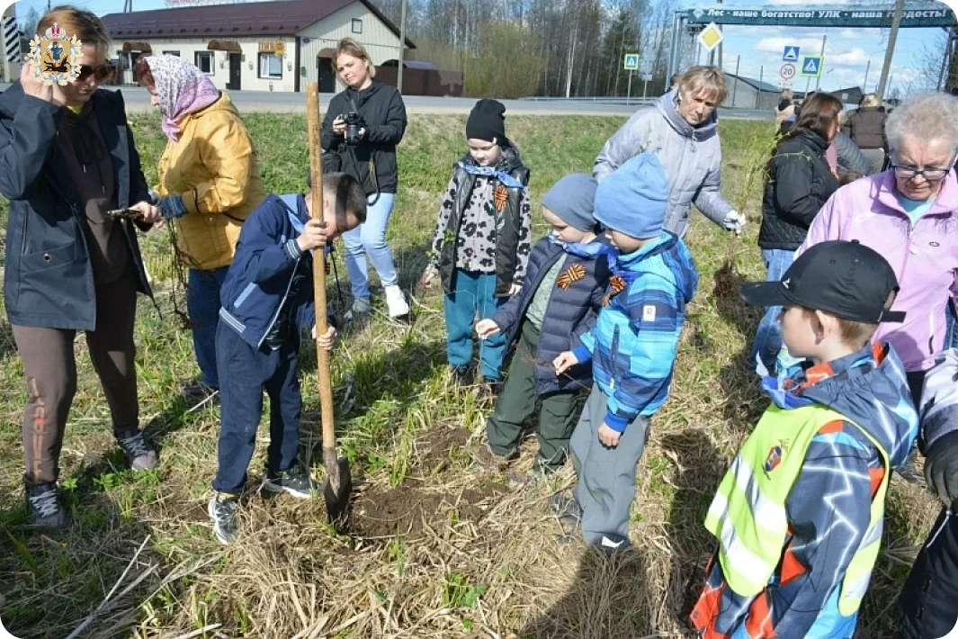В поселке Октябрьский Устьянского округа высадили кленовую аллею В поселке Октябрьский Устьянского округа высадили кленовую аллею