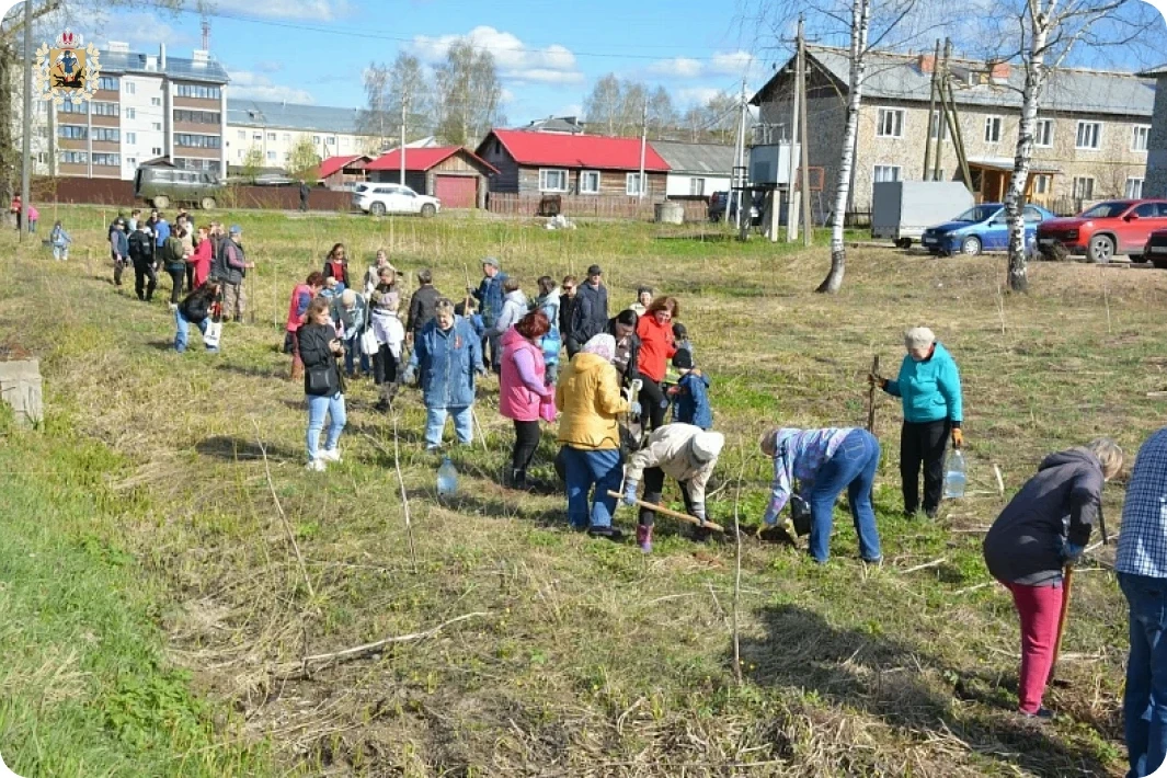 В поселке Октябрьский Устьянского округа высадили кленовую аллею В поселке Октябрьский Устьянского округа высадили кленовую аллею