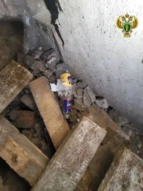В Пинежском районе вынесен приговор по делу о вовлечении несовершеннолетнего в распитие спиртных напитков