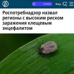 «Роспотребнадзор назвал регионы с высоким риском заражения клещевым энцефалитом»: Подмосковье, Ленинградская область и Крым – места, где с наибольшей вероятностью можно стать жертвой клеща