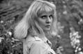 ������ � ������� �������� �������� ����������, ������-����� �������, ������ ������������ ����� ���� �������� (������� �����)