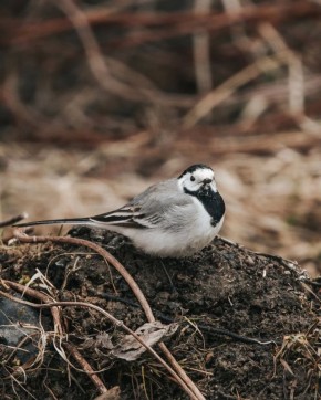 � �� �����, ��� ���������� � ��������� �����?