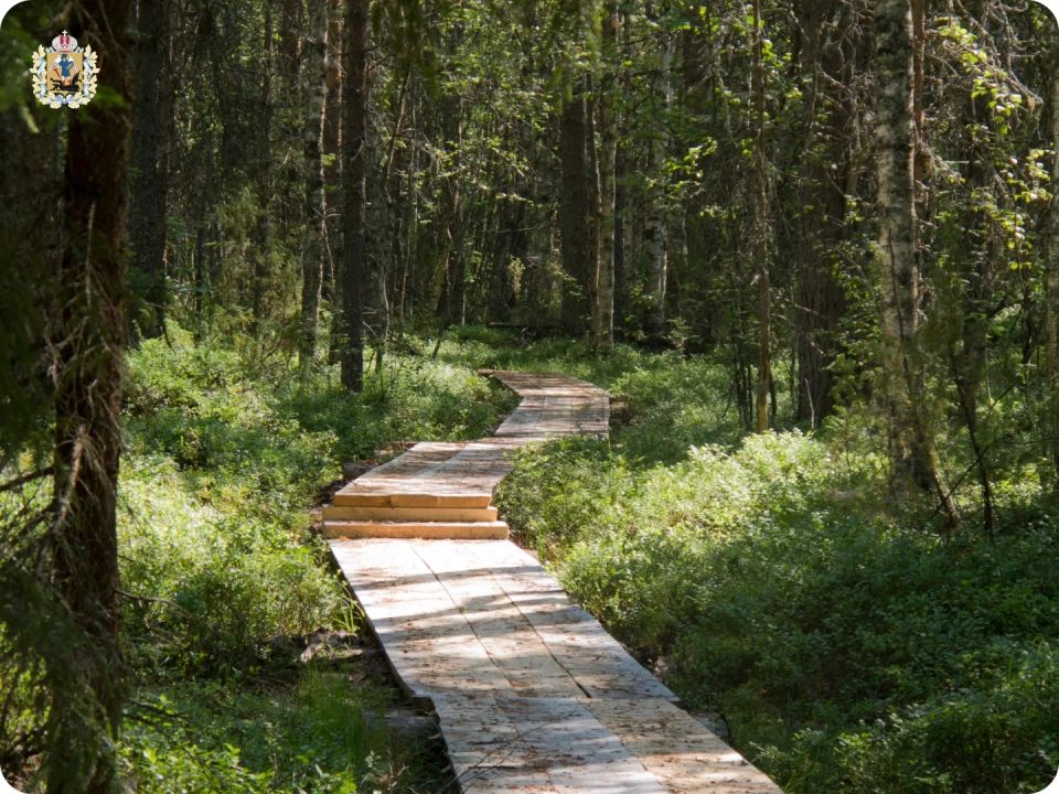 Май в Кенозерье — лучшее время для прогулок по тропам и изучения старинных деревень Май в Кенозерье — лучшее время для прогулок по тропам и изучения старинных деревень