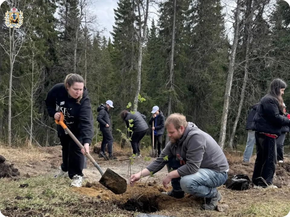 На Соловках появились первые деревья «Сада Памяти» На Соловках появились первые деревья «Сада Памяти»