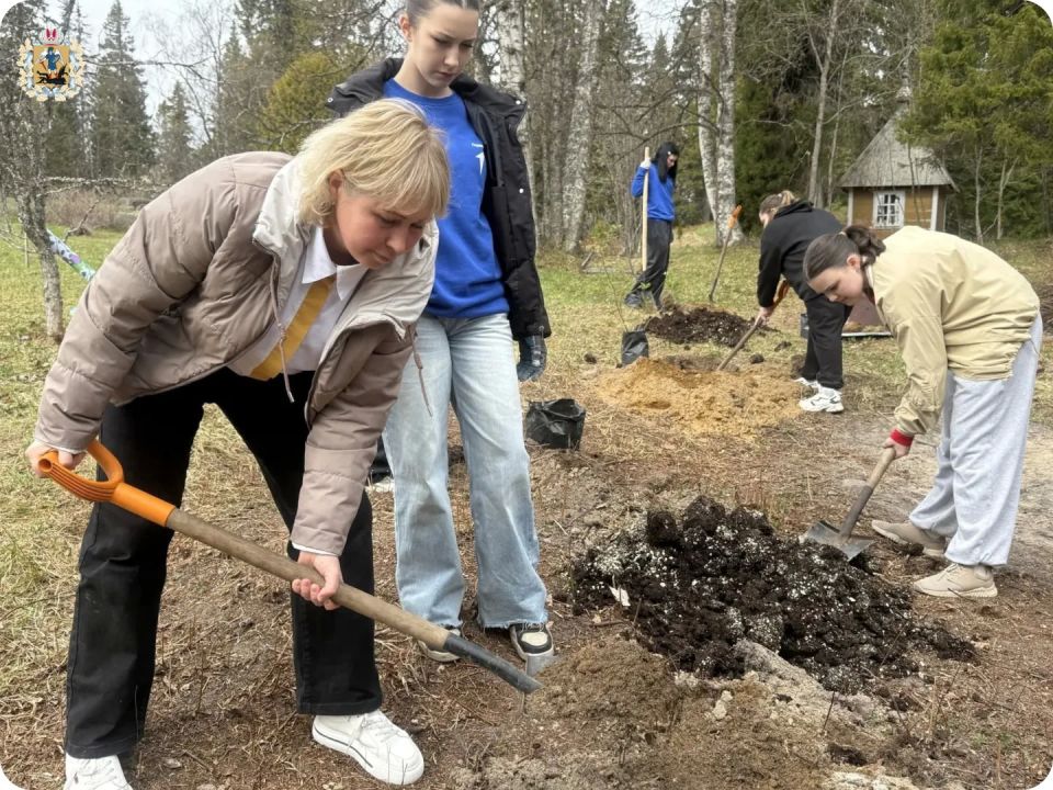На Соловках появились первые деревья «Сада Памяти» На Соловках появились первые деревья «Сада Памяти»