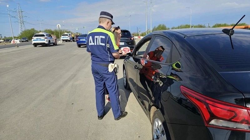 На трассе М-8 прошло комплексное профилактическое мероприятие по безопасности дорожного движения