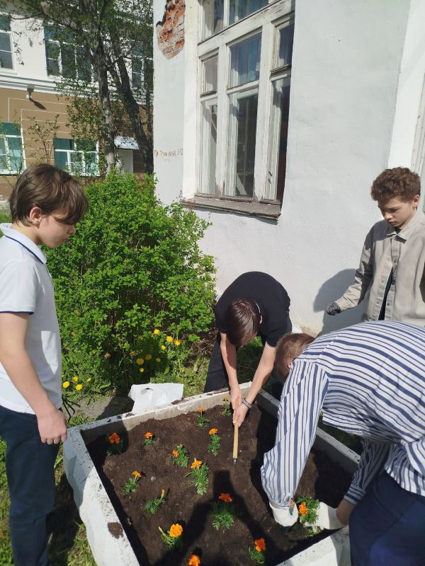 Школы города превращают свои участки в цветущие оазисы Школы города превращают свои участки в цветущие оазисы