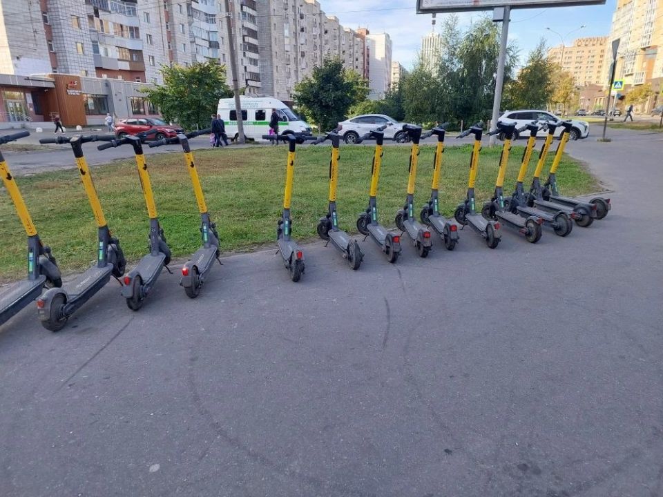 Депутаты Гордумы поддержали предложения администрации по наведению порядка с самокатами Депутаты Гордумы поддержали предложения администрации по наведению порядка с самокатами