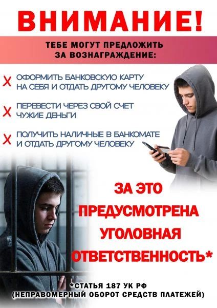 В Вельске полицейские задержали подозреваемого в дропперстве