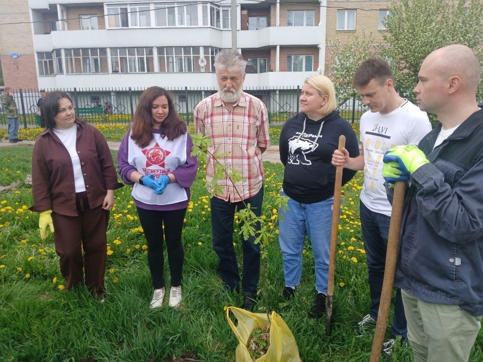 Чтобы помнили! На Ленинградском проспекте появилась «Аллея героев», здесь высадили саженцы 12 дубов Чтобы помнили! На Ленинградском проспекте появилась «Аллея героев», здесь высадили саженцы 12 дубов