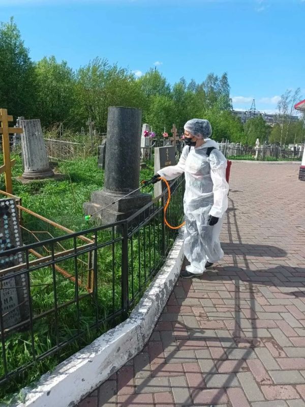 В список эндемичных территорий по клещевому энцефалиту Архангельск включен второй год подряд В список эндемичных территорий по клещевому энцефалиту Архангельск включен второй год подряд