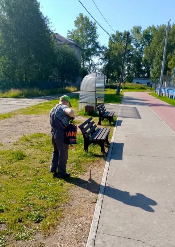 В список эндемичных территорий по клещевому энцефалиту Архангельск включен второй год подряд В список эндемичных территорий по клещевому энцефалиту Архангельск включен второй год подряд