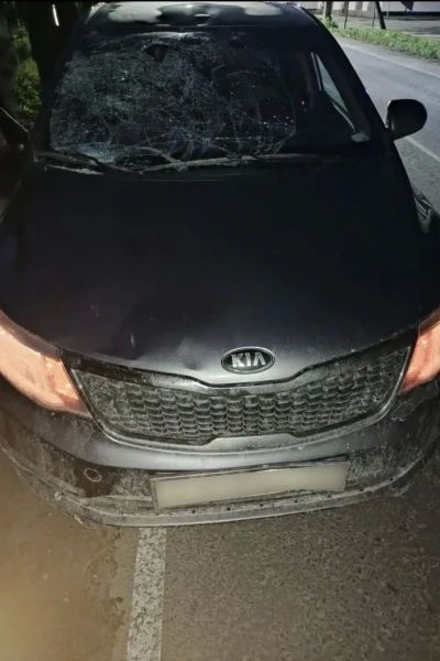 В Коношском районе в результате ДТП пострадал пешеход В Коношском районе в результате ДТП пострадал пешеход