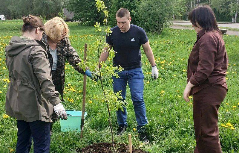 12 дубов в память о героях высадили на Ленинградском проспекте 12 дубов в память о героях высадили на Ленинградском проспекте