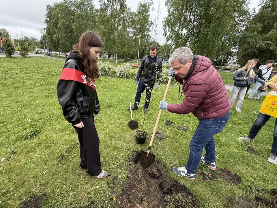 Выпускники школ Ломоносовского округа заложили аллею «Единство» Выпускники школ Ломоносовского округа заложили аллею «Единство»