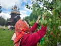 «Малые Корелы» приглашают на Троицкие гуляния! Начало сегодня, 31 мая, в 12.00