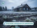 Сразу на нескольких территориях региона со 2 по 4 июня ожидаются заморозки