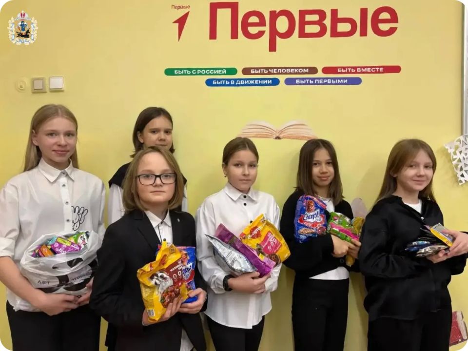 В Поморье первичные отделения Движения Первых привлекли на свои проекты более 9,5 млн рублей В Поморье первичные отделения Движения Первых привлекли на свои проекты более 9,5 млн рублей