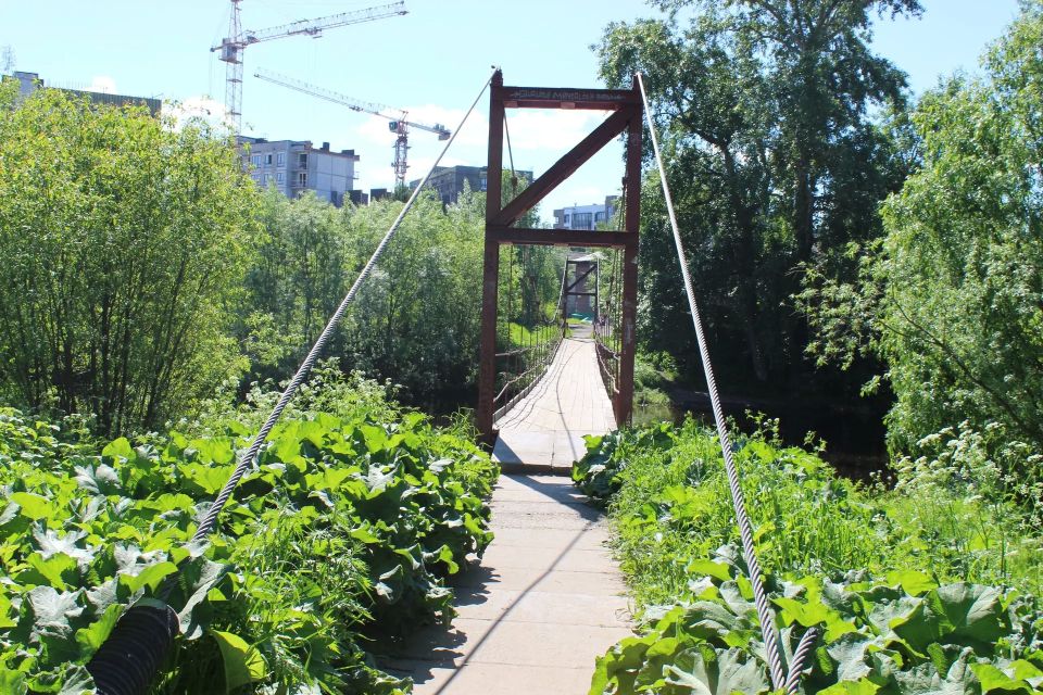 Прогулка по Кемскому: время здесь течёт иначе Прогулка по Кемскому: время здесь течёт иначе