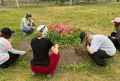 Подросткам Поморья помогут найти работу на лето