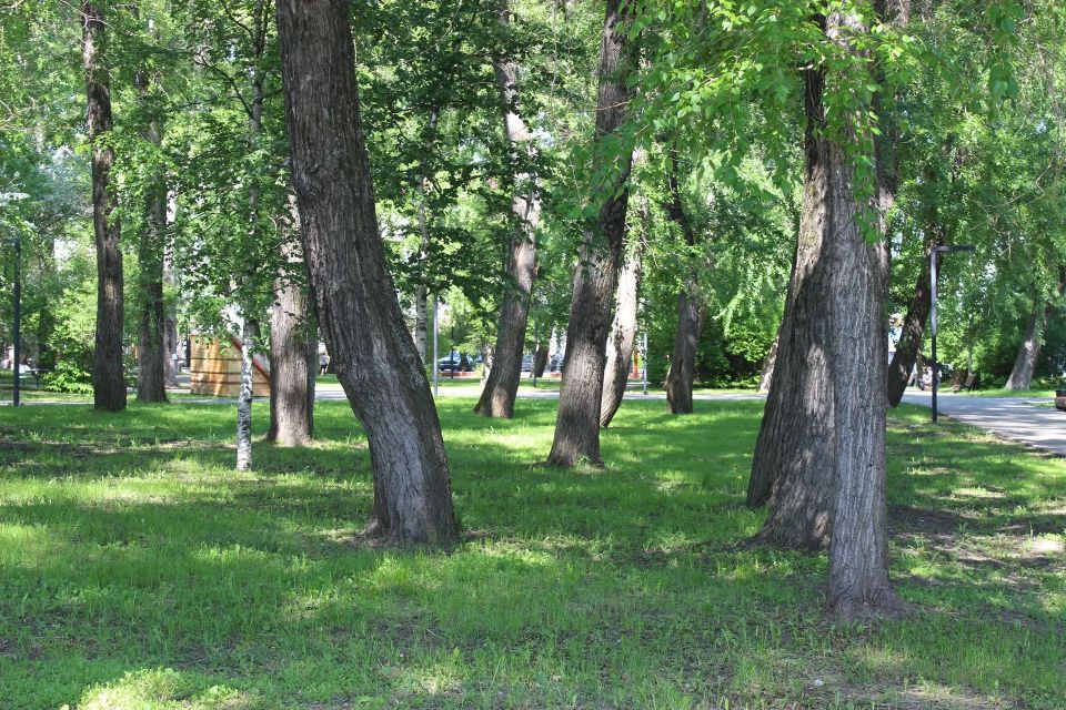 Петровский парк обработали от клещей Петровский парк обработали от клещей