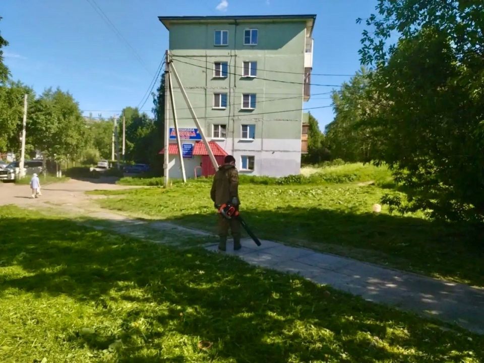 Бреем, стрижем, освежаем! В Архангельске идет активный этап покосов травы Бреем, стрижем, освежаем! В Архангельске идет активный этап покосов травы