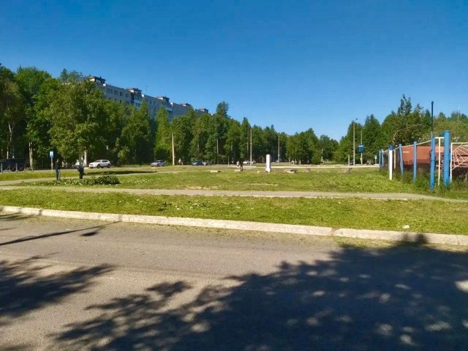 Бреем, стрижем, освежаем! В Архангельске идет активный этап покосов травы Бреем, стрижем, освежаем! В Архангельске идет активный этап покосов травы