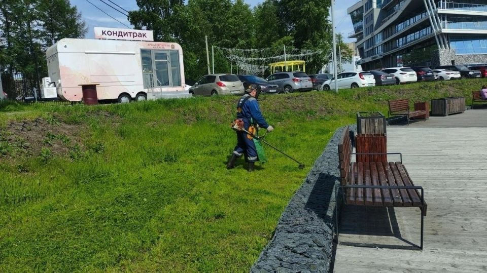 Бреем, стрижем, освежаем! В Архангельске идет активный этап покосов травы Бреем, стрижем, освежаем! В Архангельске идет активный этап покосов травы