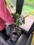 График движения общественного транспорта в День России и предстоящие выходные: