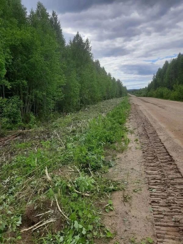 В Пинежском округе начался ремонт на участке км 116 - км 127 автодороги Карпогоры - Сосновка - Нюхча - граница с Республикой Коми В Пинежском округе начался ремонт на участке км 116 - км 127 автодороги Карпогоры - Сосновка - Нюхча - граница с Республикой Коми