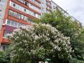 Доброе утро, Поморье!. На календаре 13 июня, суббота