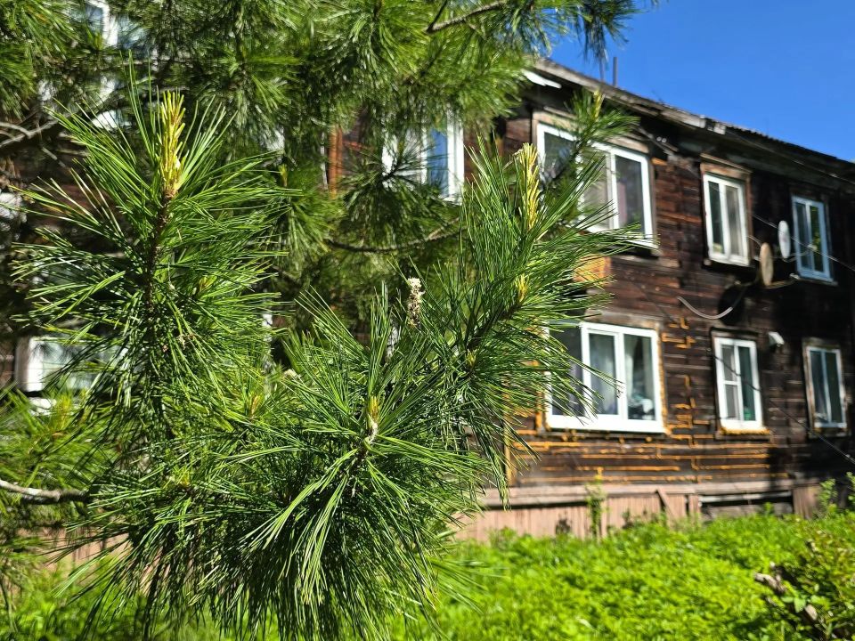 Улица, где встречаются прошлое и настоящее Улица, где встречаются прошлое и настоящее