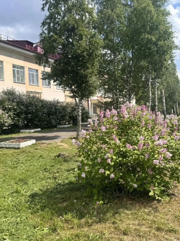 Аллее победной сирени на Ленинградском уже 6 лет