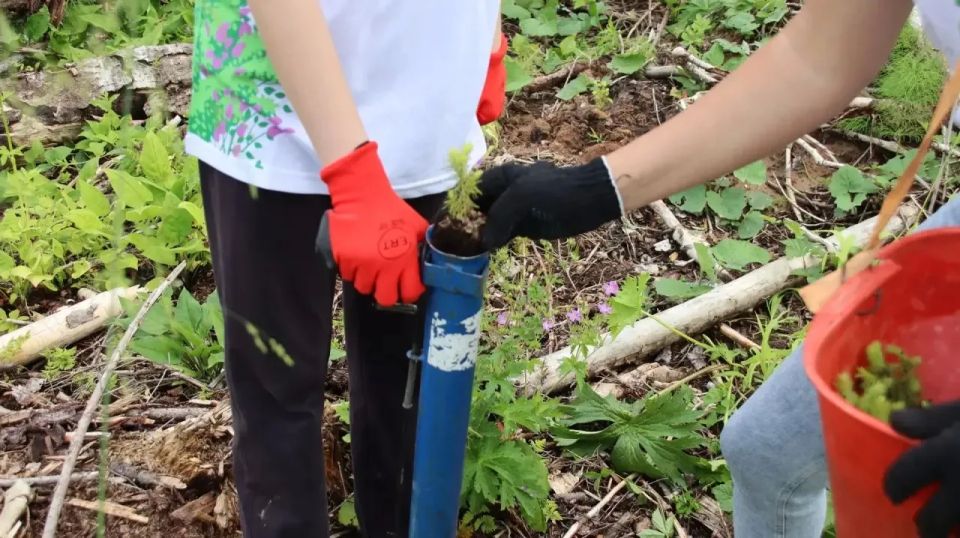 Александр Цыбульский: Продолжаем высаживать деревья в рамках акции «Сад памяти» Александр Цыбульский: Продолжаем высаживать деревья в рамках акции «Сад памяти»