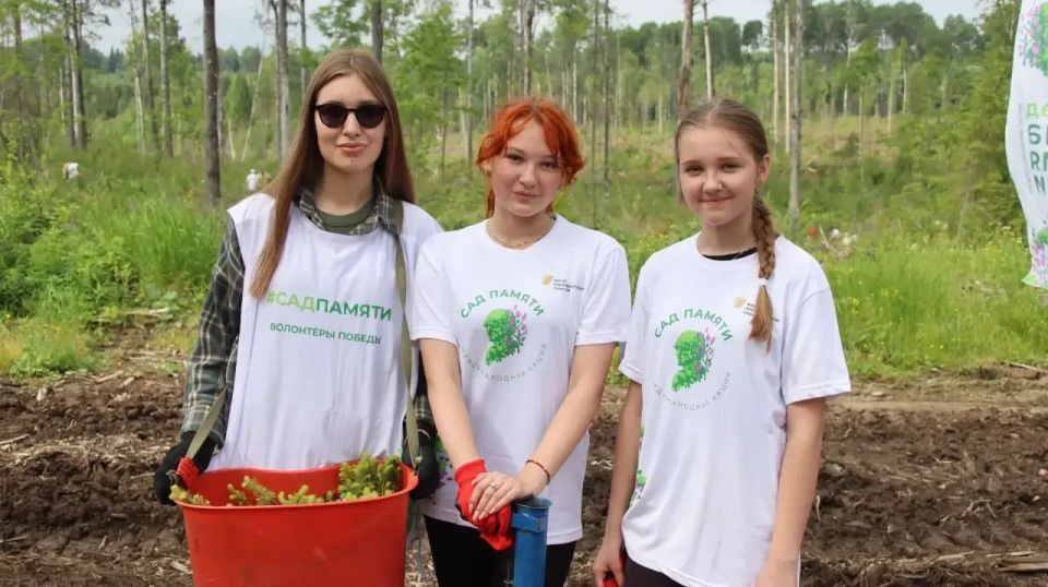 Александр Цыбульский: Продолжаем высаживать деревья в рамках акции «Сад памяти» Александр Цыбульский: Продолжаем высаживать деревья в рамках акции «Сад памяти»