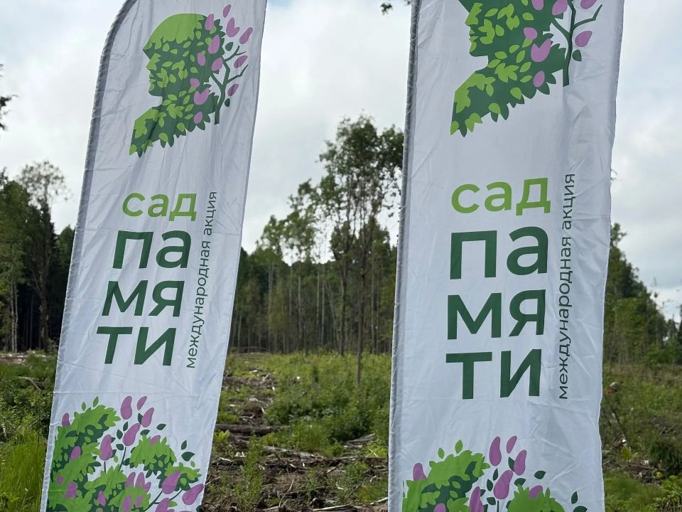 В Вельском округе прошла акция «Сад памяти» В Вельском округе прошла акция «Сад памяти»