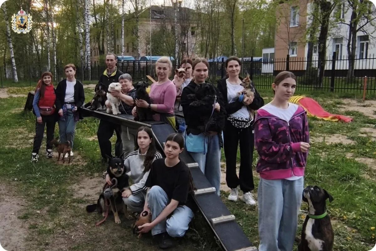 В Коряжме реализуется добрый проект «Не бросай меня, человек» В Коряжме реализуется добрый проект «Не бросай меня, человек»