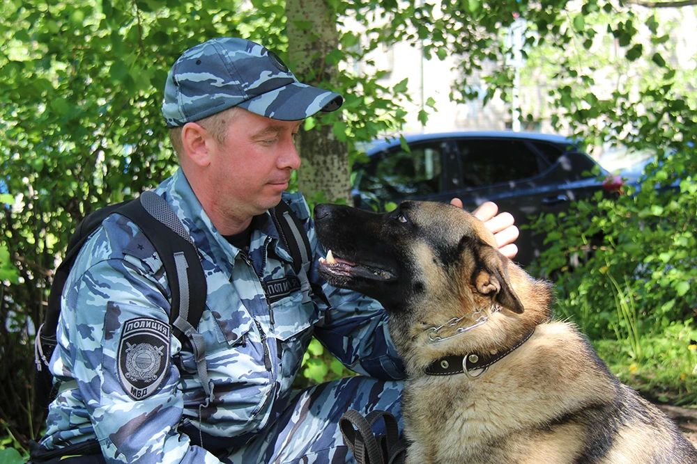 Сегодня – свой профессиональный праздник отмечают сотрудники кинологической службы МВД России Сегодня – свой профессиональный праздник отмечают сотрудники кинологической службы МВД России