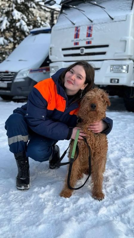 Сегодня отмечается День кинолога Сегодня отмечается День кинолога