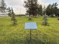 Как чудесно преобразились за последние годы набережная от "Праги" до ж/д моста и территория рядом с ней