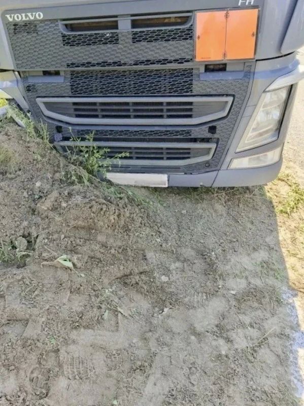 Шмель стал причиной ДТП на трассе М-8 Шмель стал причиной ДТП на трассе М-8
